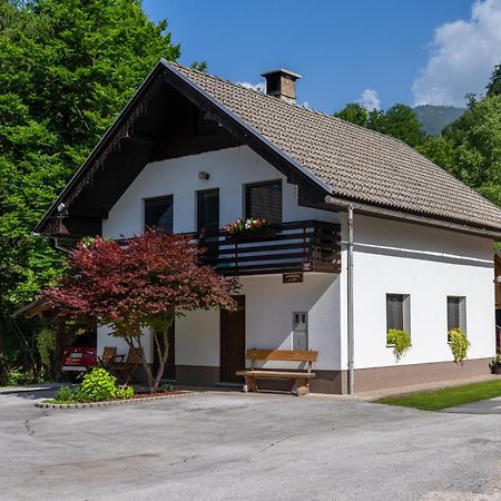Apartma Pri Lipi Bohinj Exterior foto
